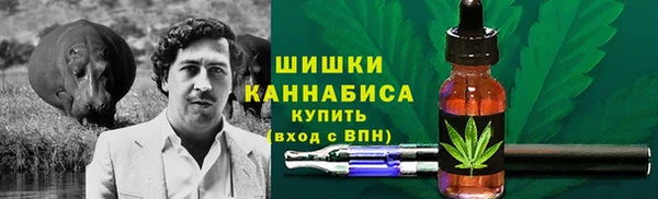 мдпв Россошь