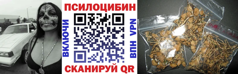 Галлюциногенные грибы MAGIC MUSHROOMS  KRAKEN как войти  это официальный сайт  Сковородино 